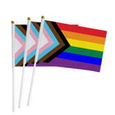 100 Handheld LGBT Pride Flags